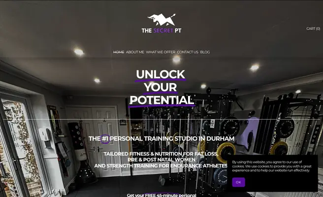 THE SECRET PT